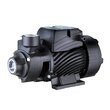 Насос для водоснабжения PUMPMAN QB60 370Вт корпус чугун